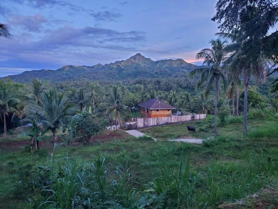 Willa Modern Bahay Kubo In A Farm Near Tagaytay Tagaytay City Zewnętrze zdjęcie